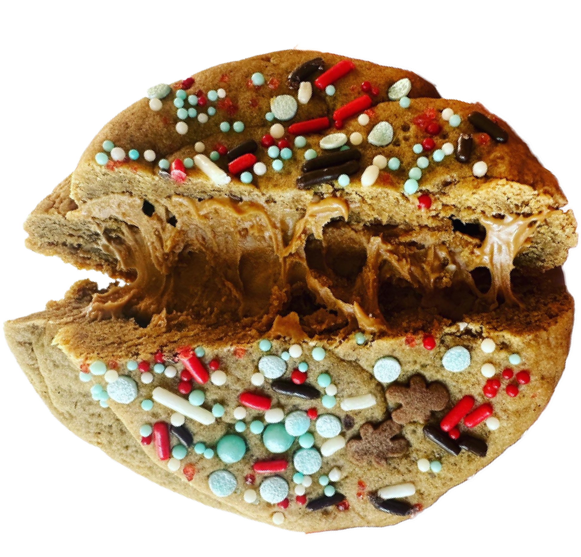 Vegan Gingerbread Cookie in Des Moines, Iowa