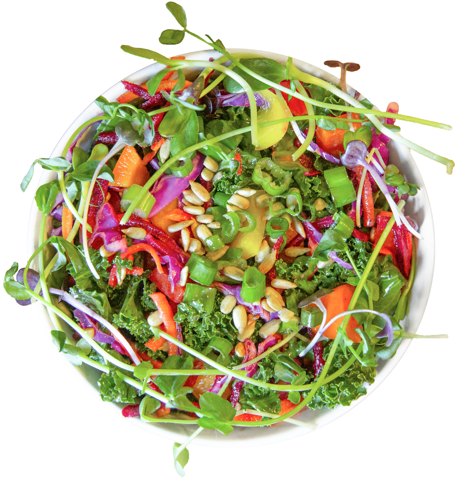 vegan rainbow kale salad in Des Moines, Iowa