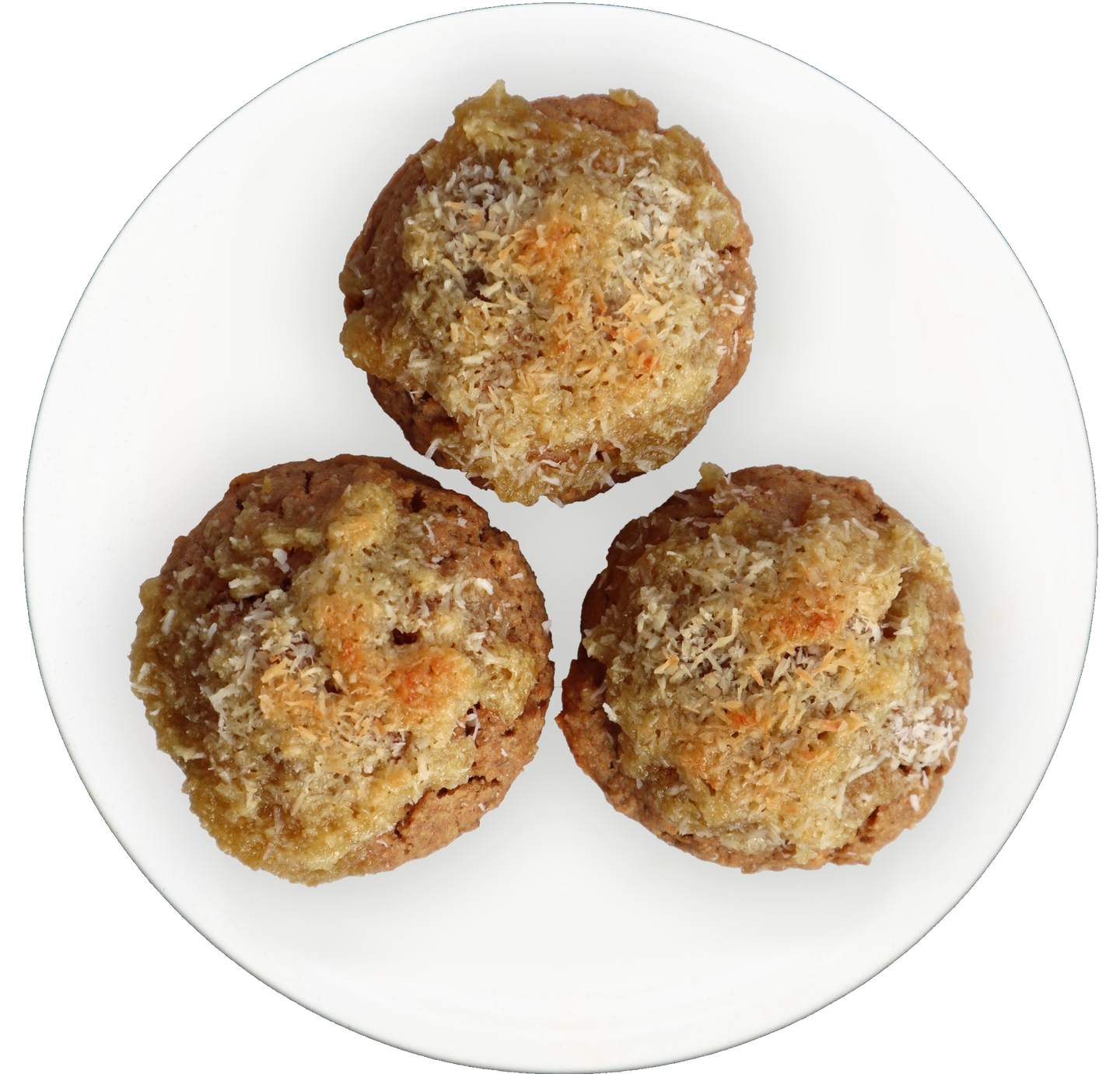 vegan toasted coconut oat muffins in Des Moines, Iowa