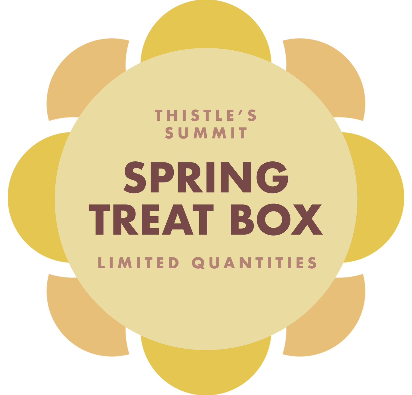 vegan spring treat box in Des Moines, Iowa