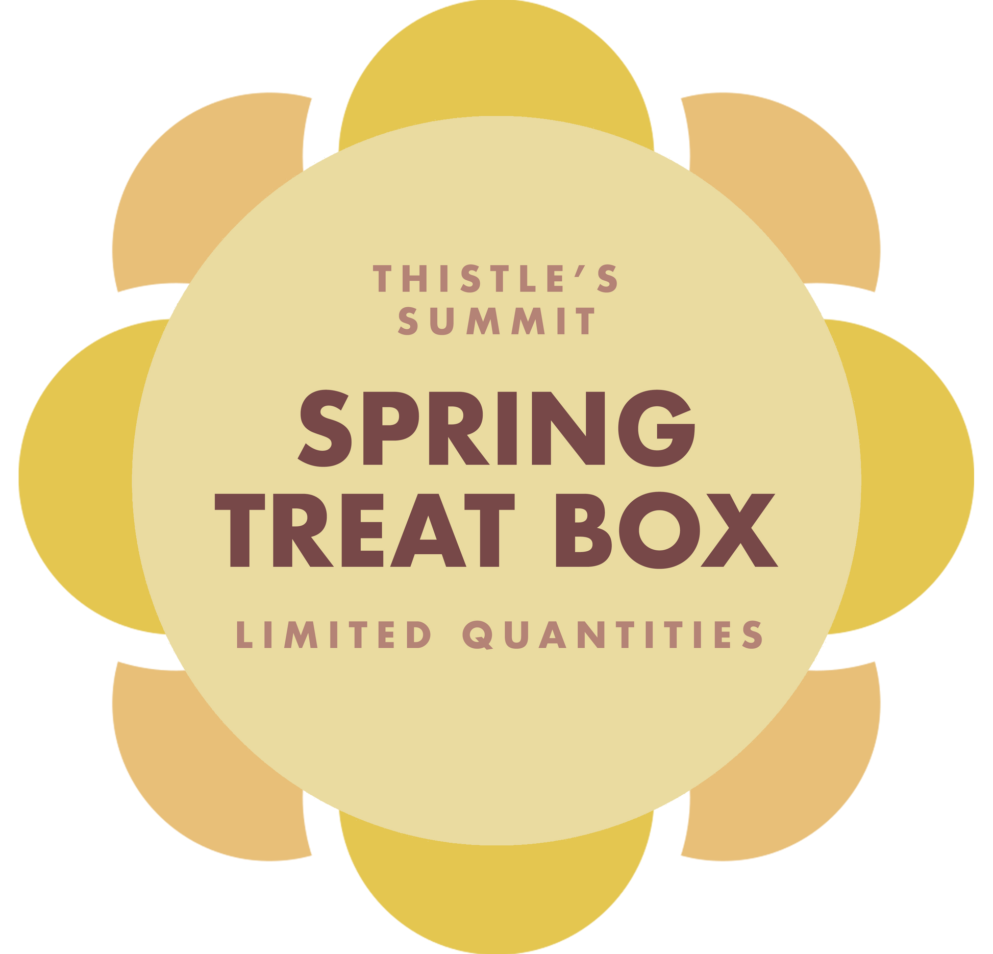 vegan spring treat box in Des Moines, Iowa