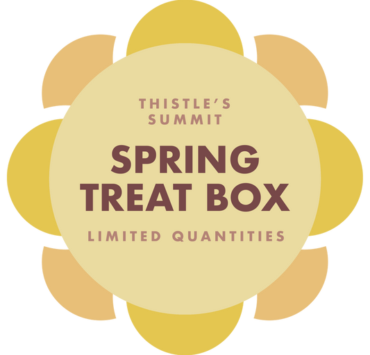 vegan spring treat box in Des Moines, Iowa